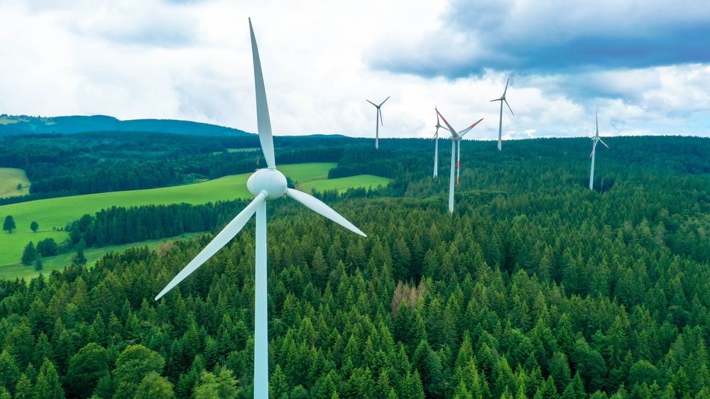 Zelená energie na úkor lesa. V Bavorsku řeší dilema s větrníky